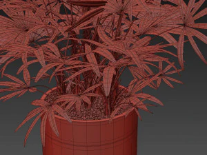 Plants collection 488 3D Model