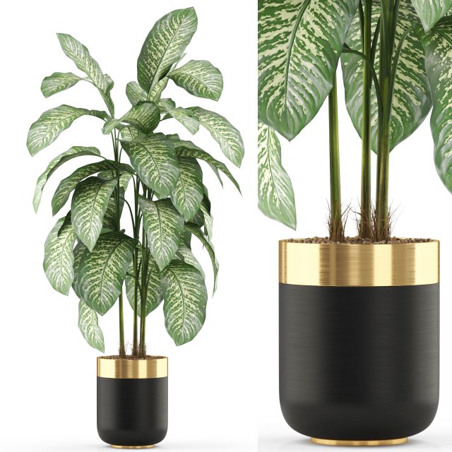 Plants collection 489 3D Model .c4d .max .obj .3ds .fbx .stl .blend 