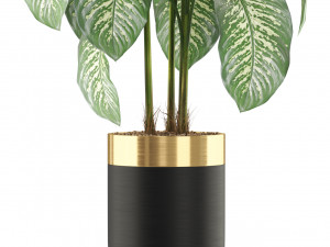 Plants collection 489 3D Model