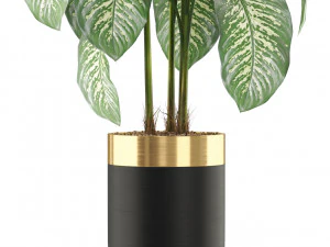 Plants collection 489 3D Model