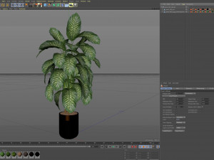 Plants collection 489 3D Model