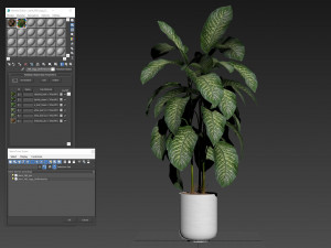 Plants collection 489 3D Model