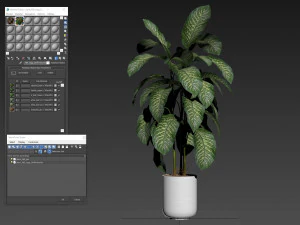Plants collection 489 3D Model