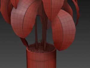 Plants collection 489 3D Model