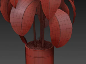 Plants collection 489 3D Model