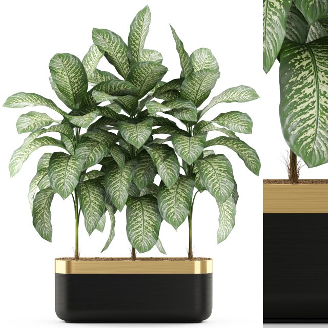 Plants collection 490 Modèle 3D .c4d .max .obj .3ds .fbx .stl .blend 