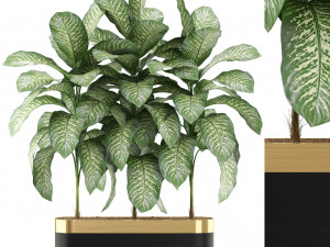 Plants collection 490 3Dモデル