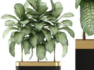 Plants collection 490 3D Model