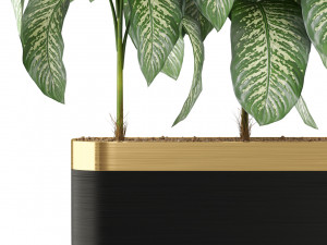Plants collection 490 Modèle 3D