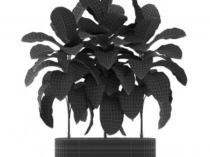 Plants collection 490 Modèle 3D