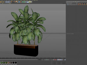 Plants collection 490 Modèle 3D