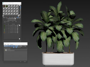 Plants collection 490 Modèle 3D