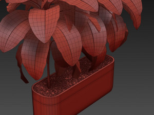 Plants collection 490 Modèle 3D