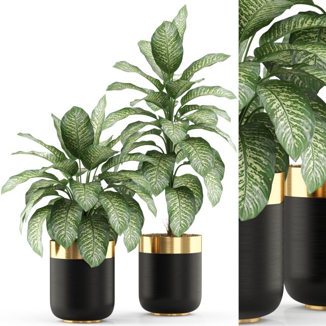 Plants collection 491 3D 모델 .c4d .max .obj .3ds .fbx .stl .blend