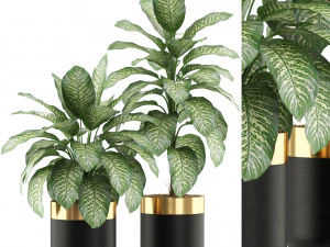 Коллекция растений 491 3D Модель