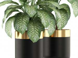 Plants collection 491 3D 모델
