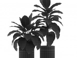 Plants collection 491 3D 모델