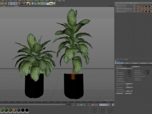 Plants collection 491 3D 모델