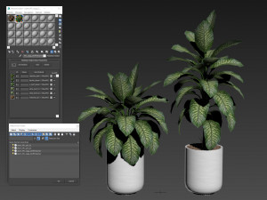 Plants collection 491 3D 모델