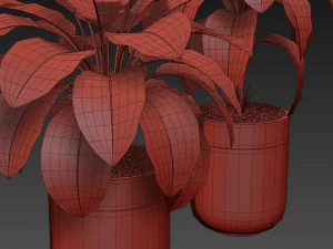 Plants collection 491 3D Model