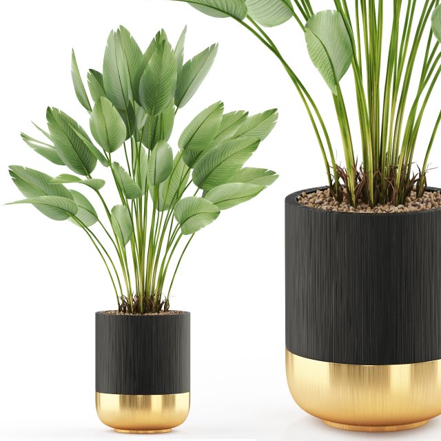 Plants collection 492 3D 模型 .c4d .max .obj .3ds .fbx .stl .blend 