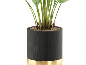 Plants collection 492 3D 模型