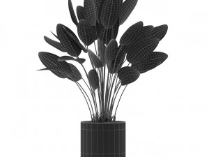 Plants collection 492 3D Model