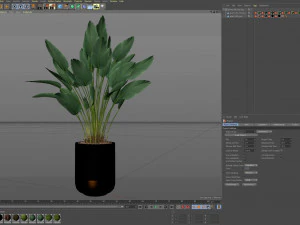 Plants collection 492 3D Model