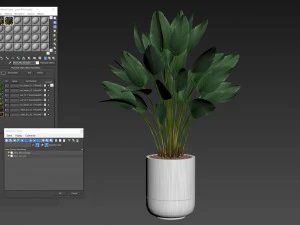 Plants collection 492 3D Model