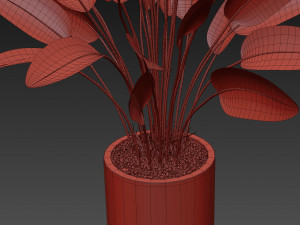 Plants collection 492 3D 模型
