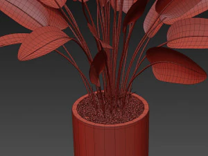 Plants collection 492 3D Model