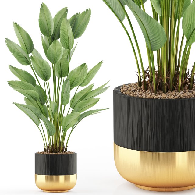 Plants collection 493 Modèle 3D .c4d .max .obj .3ds .fbx .stl .blend 