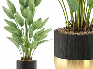 Коллекция растений 493 3D Модель