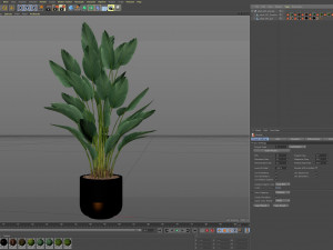 Plants collection 493 Modèle 3D
