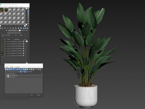 Plants collection 493 Modèle 3D