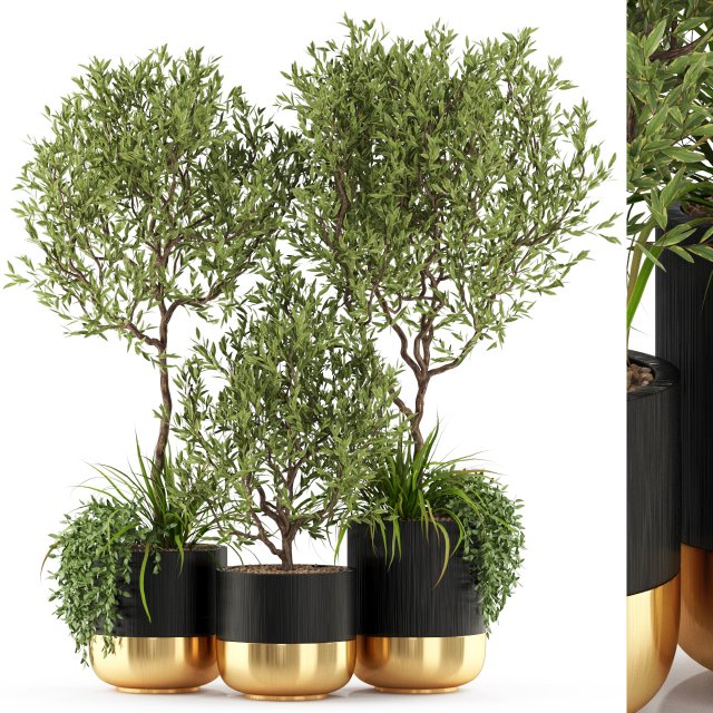 Plants collection 494 3D Модель .c4d .max .obj .3ds .fbx .stl .blend 