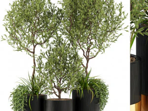 Colecci&oacute;n de plantas 494 Modelo 3D