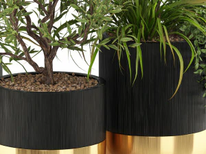 Plants collection 494 3D Model