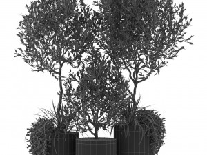 Plants collection 494 3D Модель