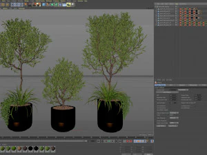 Plants collection 494 3D Model