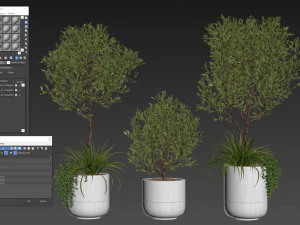 Plants collection 494 3D Model