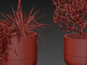 Plants collection 494 3D Model