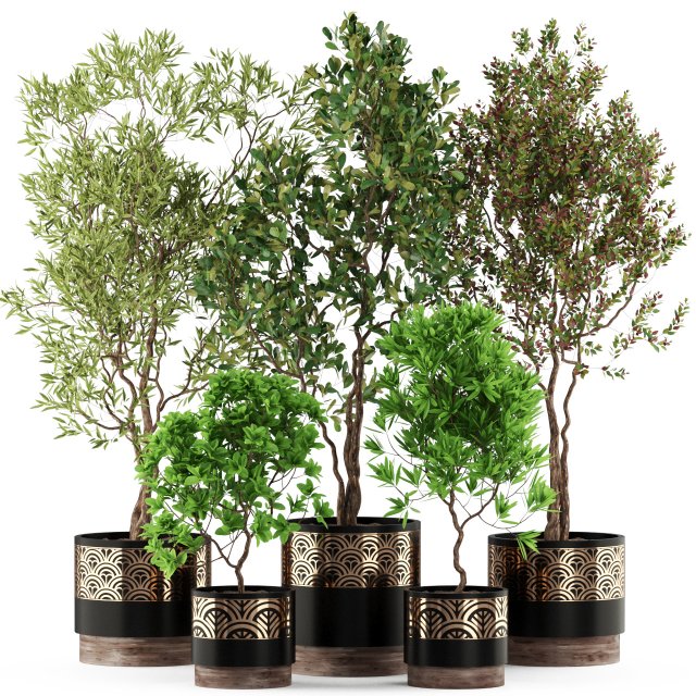 Plants collection 495 3Dモデル .c4d .max .obj .3ds .fbx .stl .blend 