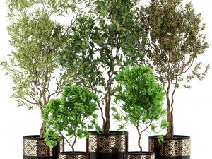 Коллекция растений 495 3D Модель