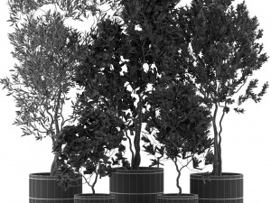 Plants collection 495 3Dモデル