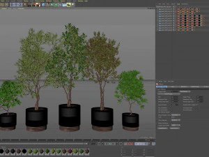 Plants collection 495 3D Model