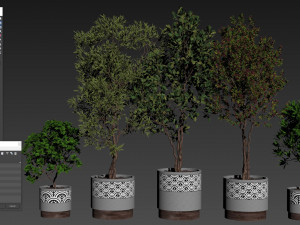 Plants collection 495 3Dモデル