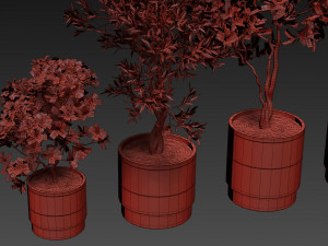 Plants collection 495 3Dモデル