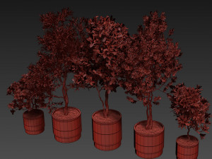 Plants collection 495 3Dモデル