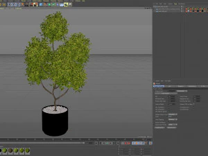 Plants collection 496 3D Model